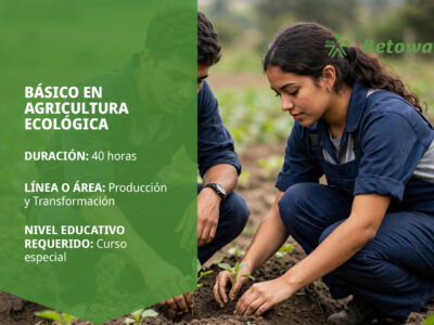 miniatura del curso