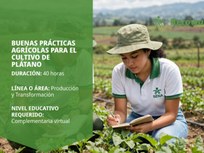 miniatura del curso