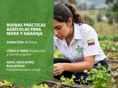 miniatura del curso
