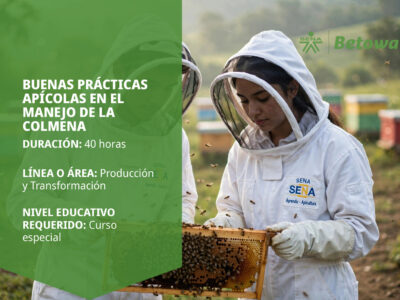 miniatura del curso