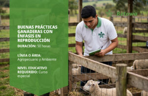 Curso SENA de buenas prácticas ganaderas con énfasis en reproducción – Betowa