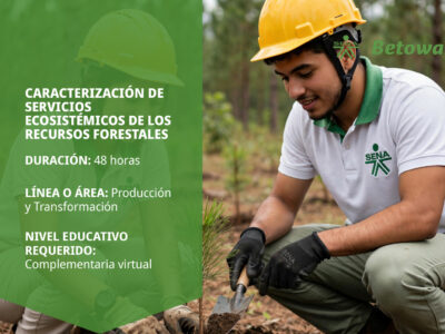 miniatura del curso