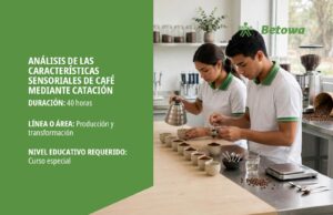 Curso SENA de análisis de las características sensoriales de café mediante catación, portada Betowa