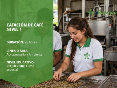 miniatura del curso