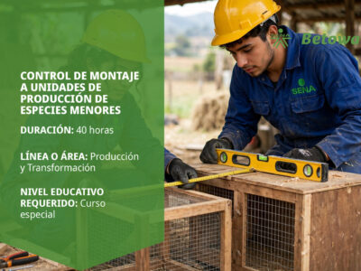 miniatura del curso