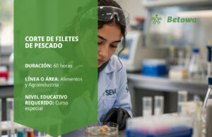 Curso SENA de corte de filetes de pescado – Betowa