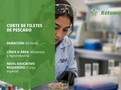miniatura del curso