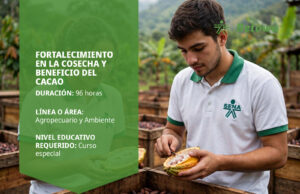 Curso SENA de cosecha y beneficio del cacao – Betowa