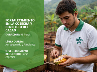 miniatura del curso