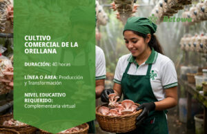 Curso SENA de cultivo comercial de la orellana – Betowa