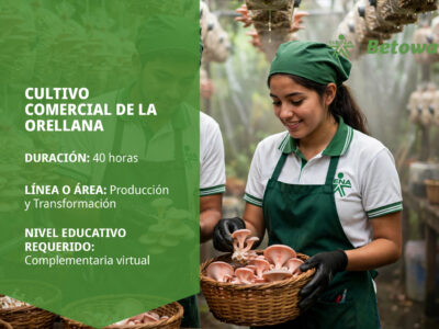 miniatura del curso