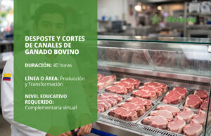 Curso SENA de desposte y cortes de canales de ganado bovino – Betowa