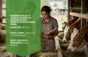 Curso SENA de diagnóstico de la organización y empresa agropecuaria rural – Betowa