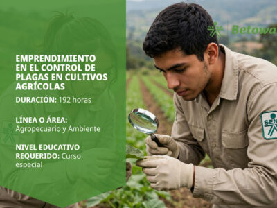 miniatura del curso