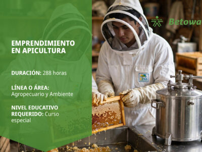 miniatura del curso