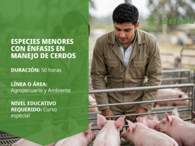 miniatura del curso