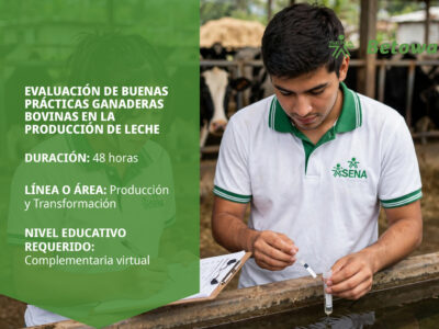 miniatura del curso