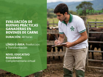miniatura del curso