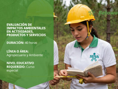 miniatura del curso
