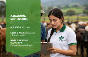 Curso SENA de ganadería sustentable – Betowa