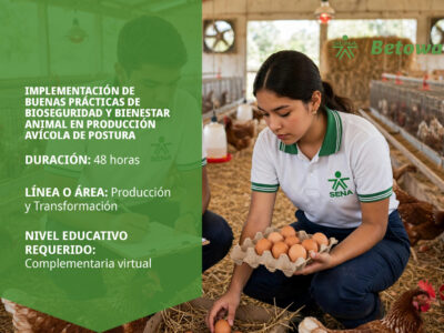 miniatura del curso