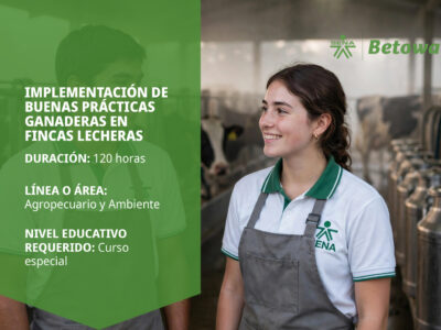 miniatura del curso