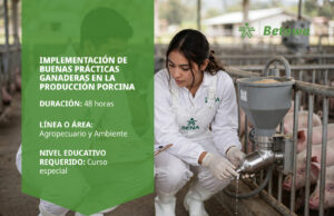 Curso SENA de buenas prácticas ganaderas en la producción porcina – Betowa
