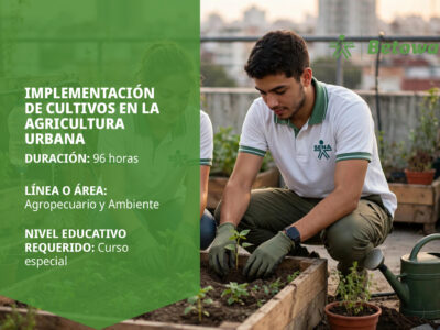 miniatura del curso