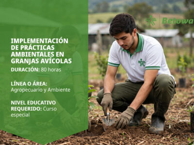 miniatura del curso