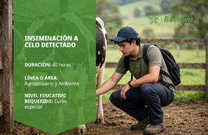 Curso SENA de inseminación a celo detectado – Betowa