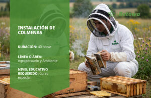 Curso SENA de instalación de colmenas – Betowa