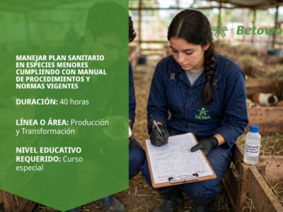 miniatura del curso