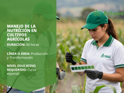 miniatura del curso