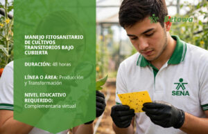Curso SENA de manejo fitosanitario de cultivos transitorios bajo cubierta – Betowa