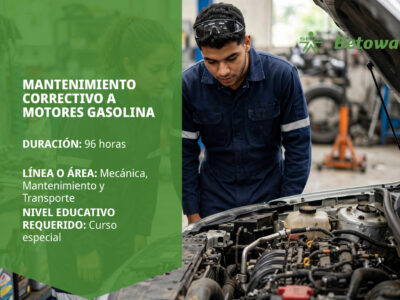 miniatura del curso