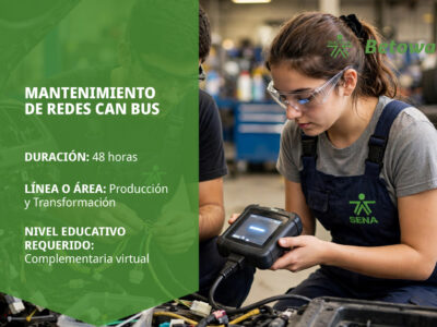 miniatura del curso