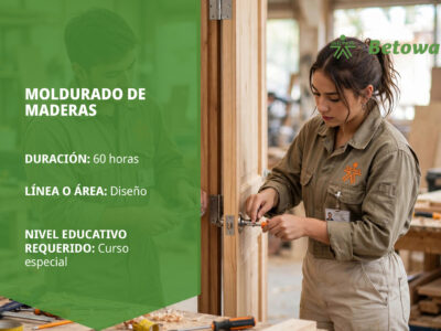 miniatura del curso