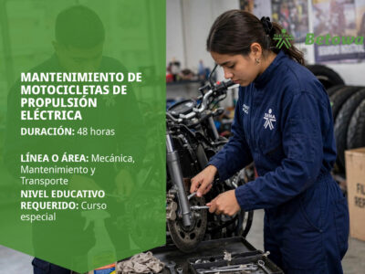miniatura del curso