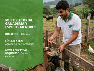 miniatura del curso