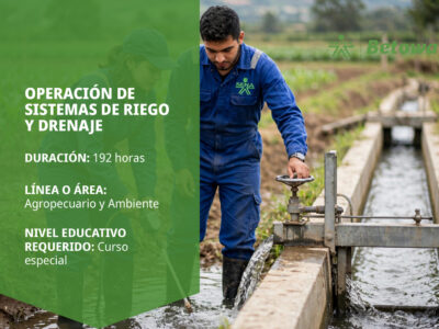 miniatura del curso
