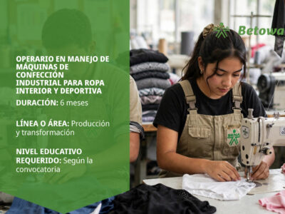 miniatura del curso