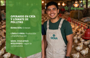 Operario en Cría y Levante de Pollitas – SENA Betowa