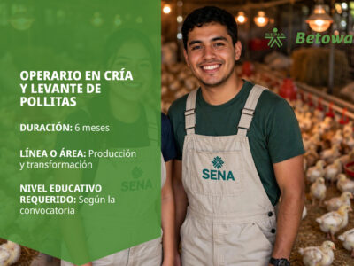 miniatura del curso