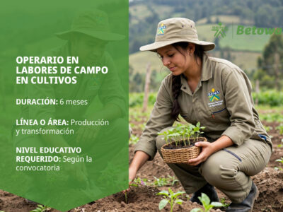 miniatura del curso