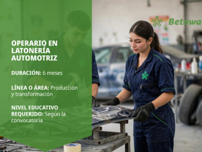 miniatura del curso