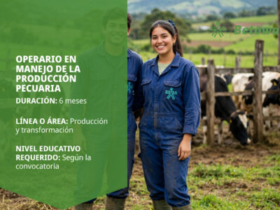miniatura del curso