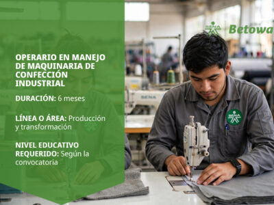 miniatura del curso
