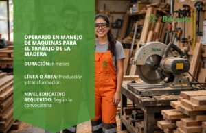 Operario en Manejo de Máquinas para el Trabajo de la Madera – SENA Betowa