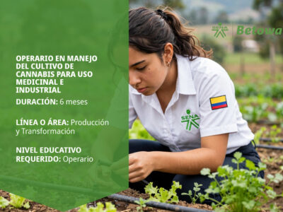 miniatura del curso