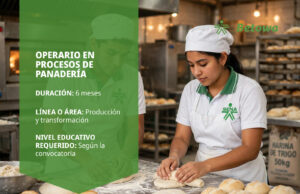 Operario en Procesos de Panadería – SENA Betowa